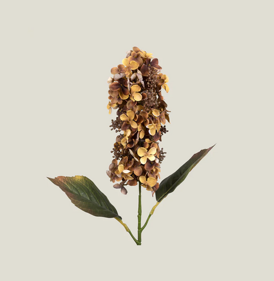 Golden Magnolia Flower Art